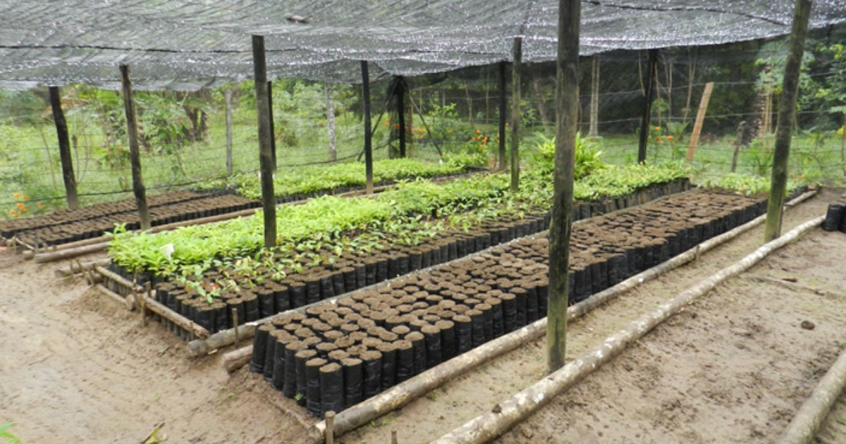 Sustentabilidade e Educacao Ambiental